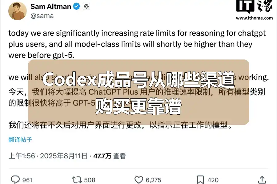 Codex成品号从哪些渠道购买更靠谱
